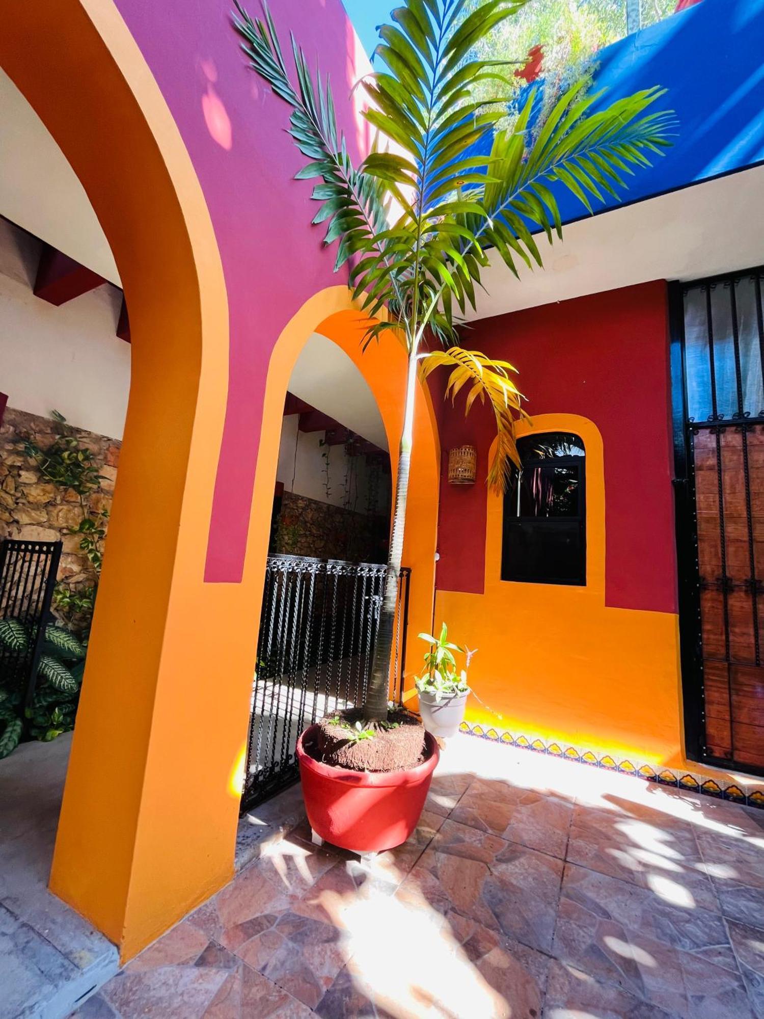 Casa Tres Colibries Bed & Breakfast Merida Exterior photo